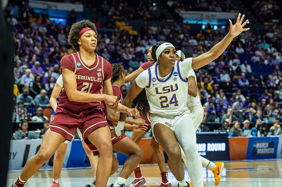 Basketball (NCAA Women) banner