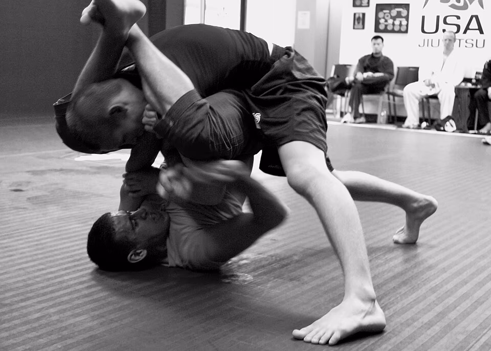 Brazilian Jiu-Jitsu banner