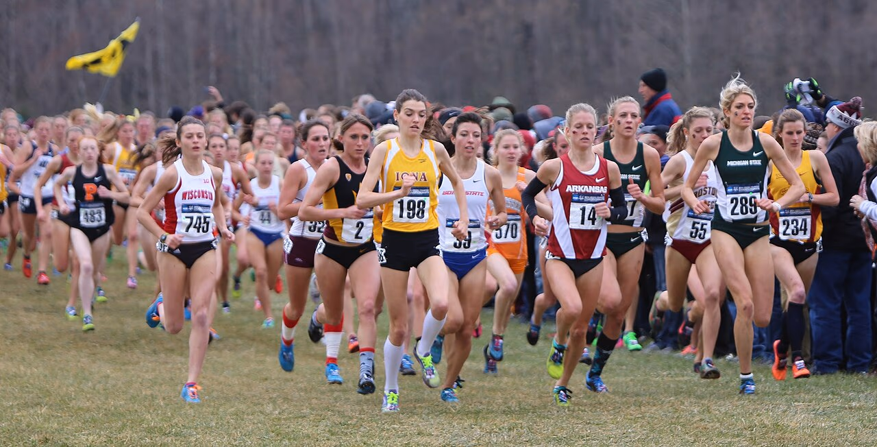 Cross Country banner