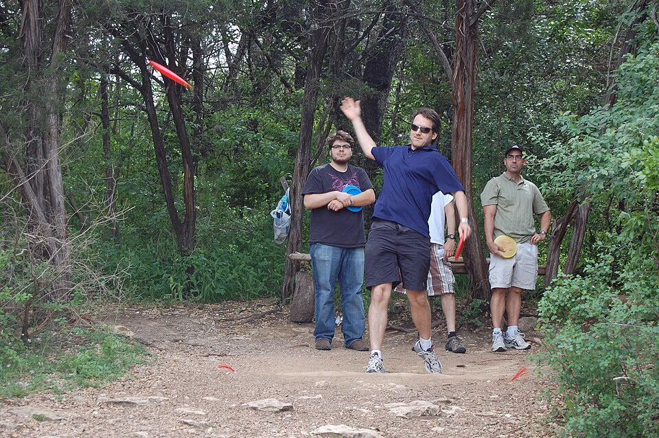 Disc Golf banner