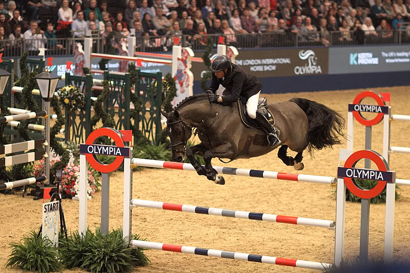 Equestrian banner