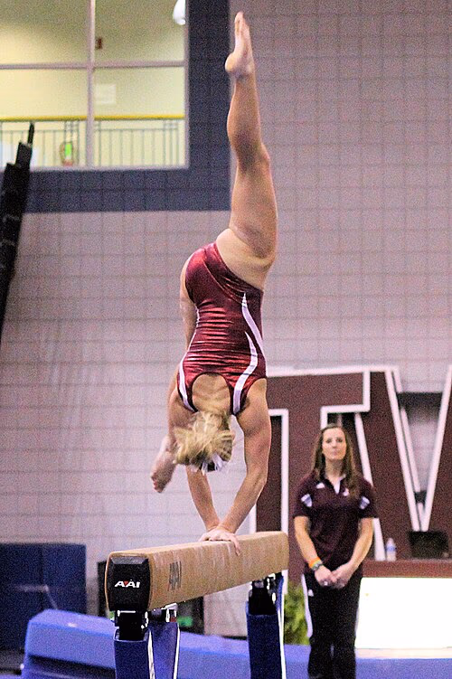 Gymnastics banner