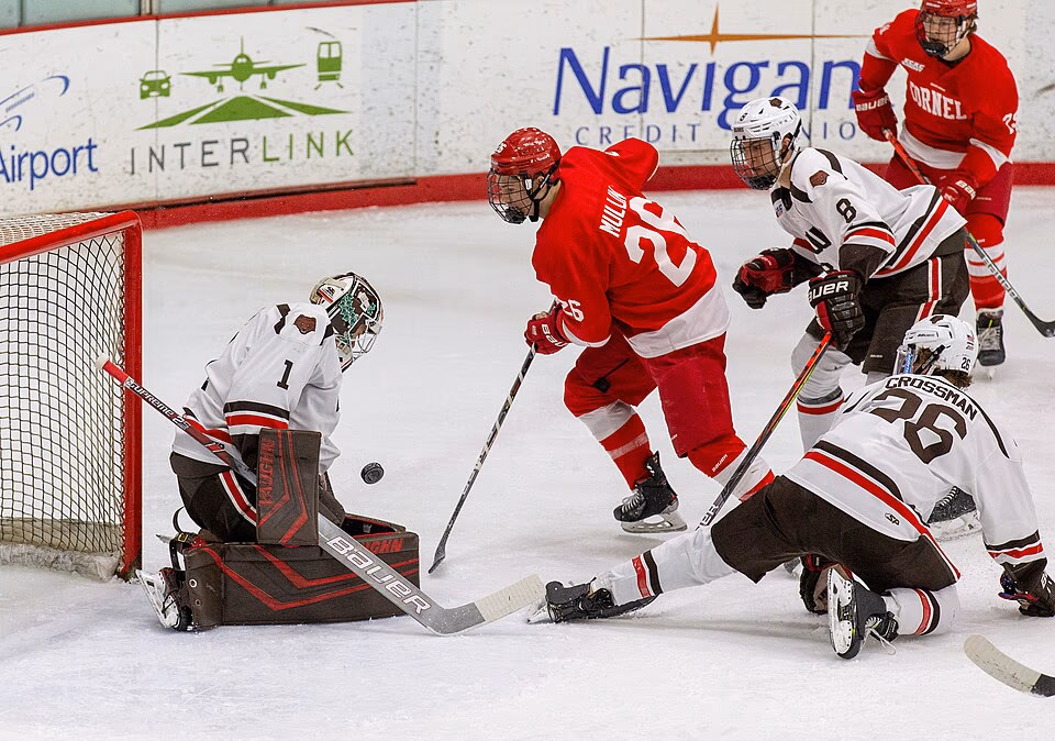 Ice Hockey banner