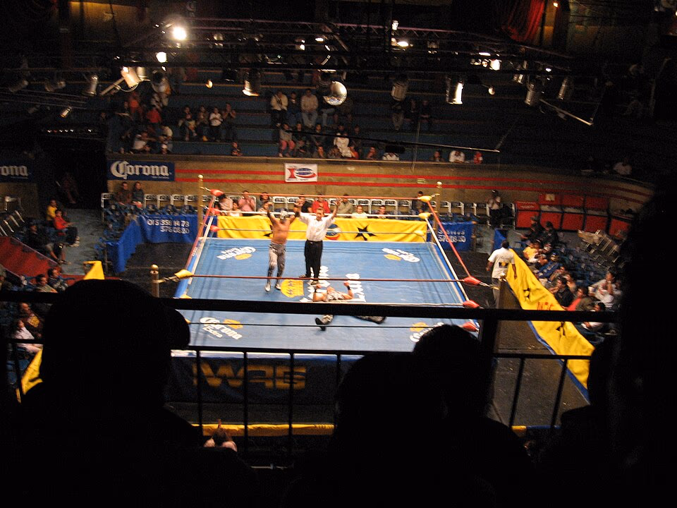 Lucha Libre banner