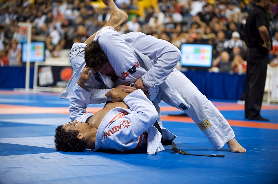 Para Jiu-Jitsu banner