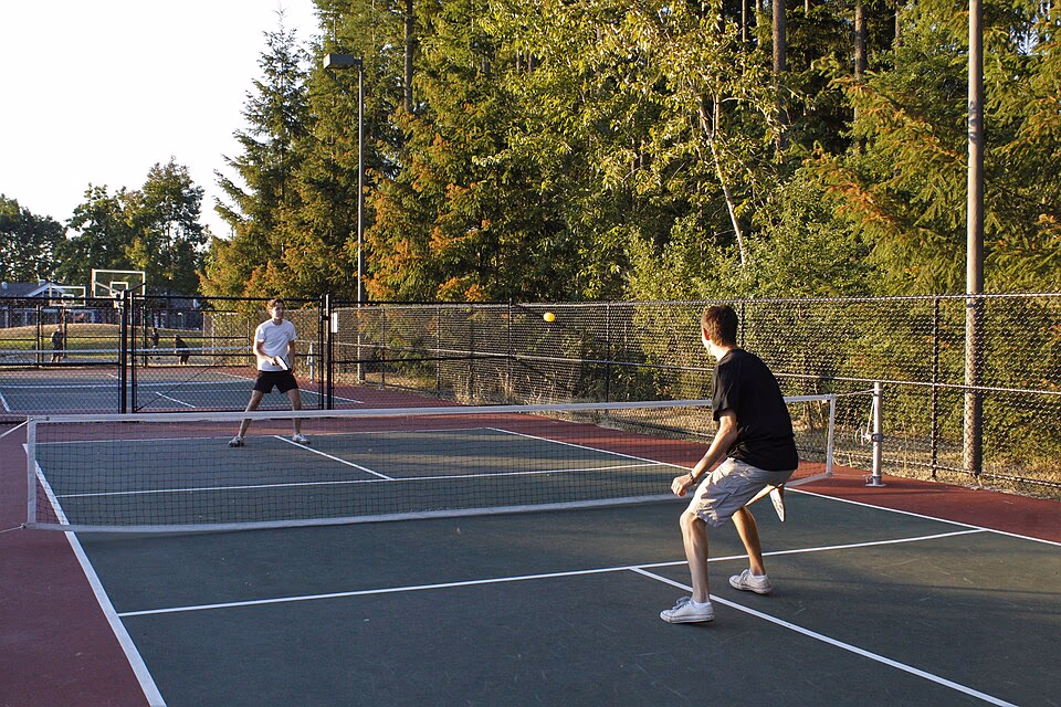 Pro Pickleball banner