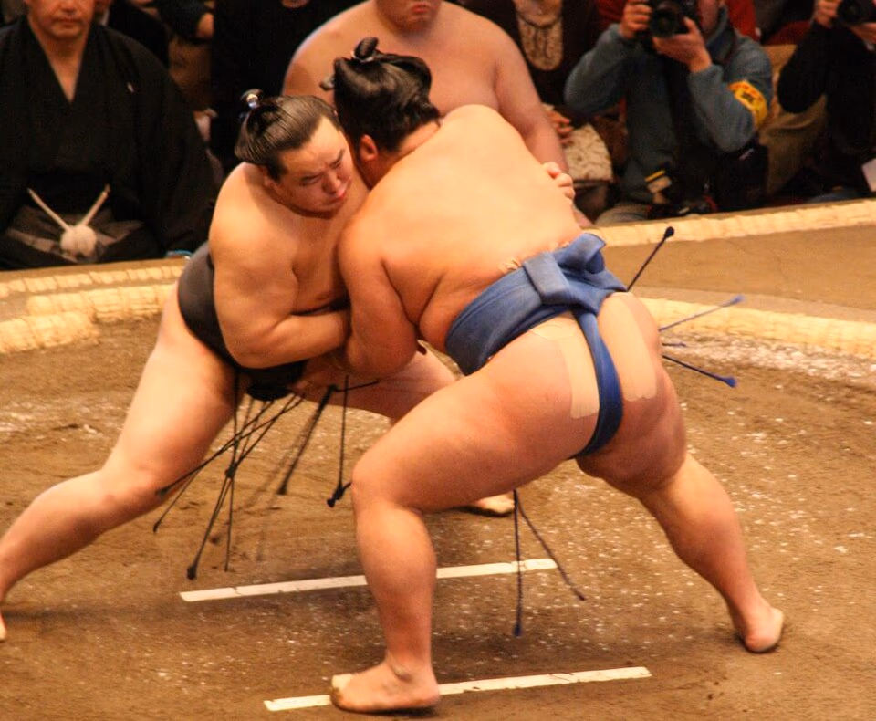 Sumo banner
