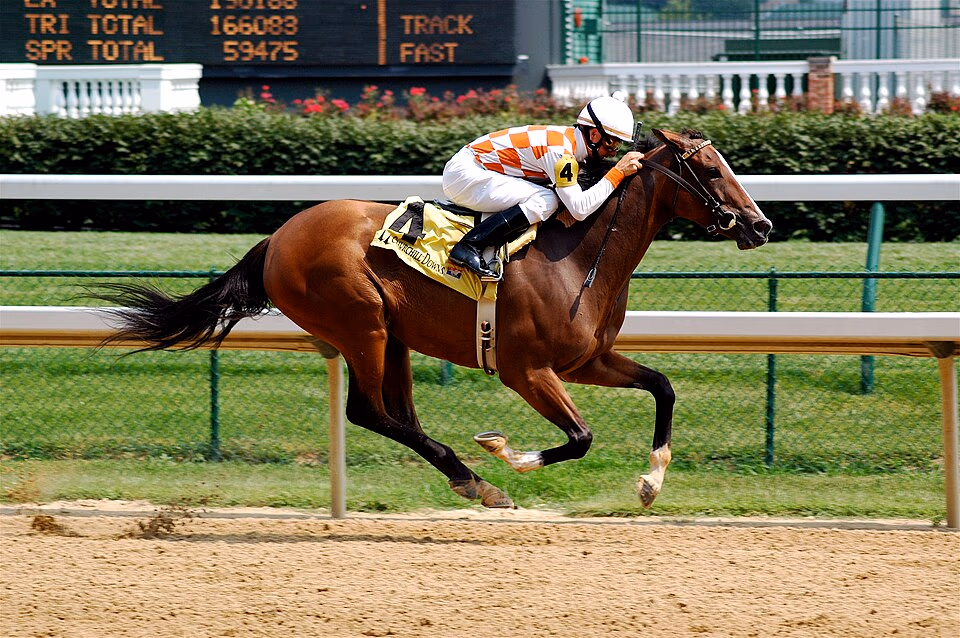 Thoroughbred Racing banner