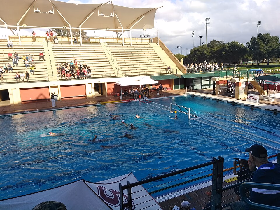 Water Polo banner